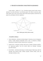 UAB “Brenntag Lietuva” sandėlio rekonstrukcija 11 puslapis