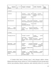 UAB “Brenntag Lietuva” sandėlio rekonstrukcija 19 puslapis