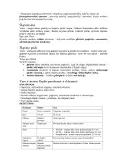 Anatomijos egzamino konspektas 11 puslapis