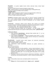 Anatomijos egzamino konspektas 13 puslapis