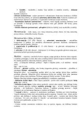 Anatomijos egzamino konspektas 14 puslapis