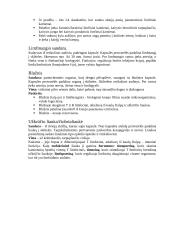 Anatomijos egzamino konspektas 18 puslapis