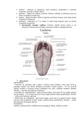 Anatomijos egzamino konspektas 3 puslapis