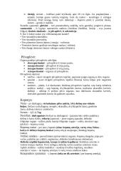 Anatomijos egzamino konspektas 6 puslapis