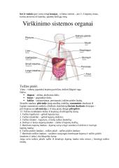 Anatomijos egzamino konspektas 7 puslapis