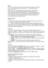 Anatomijos egzamino konspektas 8 puslapis