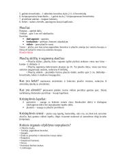 Anatomijos egzamino konspektas 9 puslapis