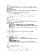 Anatomijos egzamino konspektas 10 puslapis