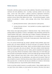 Rinkos samprata. Rinkos atsiradimo ir funkcionavimo sąlygos 3 puslapis