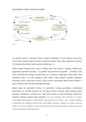Rinkos samprata. Rinkos atsiradimo ir funkcionavimo sąlygos 6 puslapis