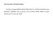 Socialinis teisingumas: ar svarbu užtikrinti lygias teises ar lygis galimybes 2 puslapis
