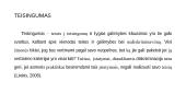 Socialinis teisingumas: ar svarbu užtikrinti lygias teises ar lygis galimybes 3 puslapis