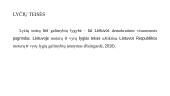 Socialinis teisingumas: ar svarbu užtikrinti lygias teises ar lygis galimybes 6 puslapis