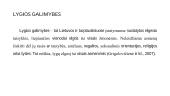 Socialinis teisingumas: ar svarbu užtikrinti lygias teises ar lygis galimybes 8 puslapis