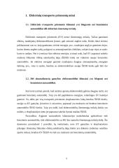 Transporto aplinkosauga 4 puslapis