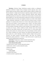 Įmonės „Achema“ socialinės atsakomybės analizė  2 puslapis