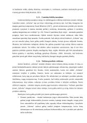 Įmonės „Achema“ socialinės atsakomybės analizė  6 puslapis