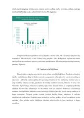 Klaipėdos uosto aplinkosaugos problemos  4 puslapis