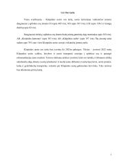 Klaipėdos uosto aplinkosaugos problemos  6 puslapis