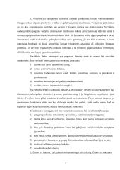 Samuel Shem romano „Dievo namai“ analizė  2 puslapis