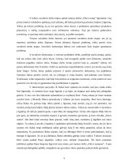 Samuel Shem romano „Dievo namai“ analizė  4 puslapis