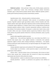 Įmonės buhalterinė apskaita 2 puslapis