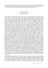 Arvydas Šliogeris: etiudas „Mažvydas ir Lietuva“