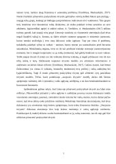 Pilnavertė poskyrybinė tėvystė Lietuvoje  3 puslapis