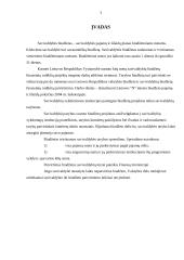 Savivaldybės pajamų ir išlaidų analizė 2 puslapis