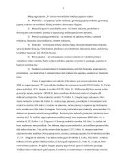 Savivaldybės pajamų ir išlaidų analizė 3 puslapis