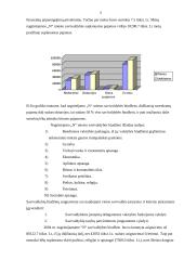 Savivaldybės pajamų ir išlaidų analizė 4 puslapis