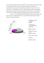 Savivaldybės pajamų ir išlaidų analizė 5 puslapis