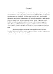 Savivaldybės pajamų ir išlaidų analizė 6 puslapis