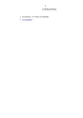 Savivaldybės pajamų ir išlaidų analizė 7 puslapis