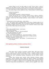 Icchokas Meras „Lygiosios trunka akimirką“ teksto analizė 2 puslapis