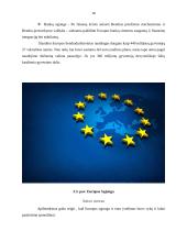 Europos pinigų sistema. Euras. Mastrichto kriterijai  17 puslapis