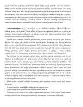 Sąžinės auklėjimas 3 puslapis