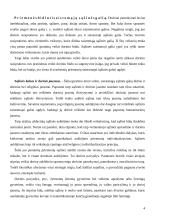 Sąžinės auklėjimas 4 puslapis