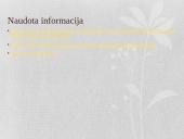 AB „Grigeo“ charakteristika 14 puslapis