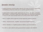 AB „Grigeo“ charakteristika 2 puslapis