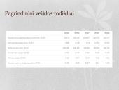 AB „Grigeo“ charakteristika 8 puslapis