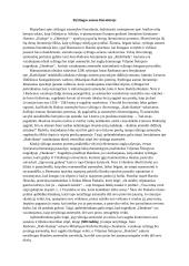Ryžtingas asmuo literatūroje (rašinys)