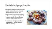 Kaip ir kada Lenkija pateko į Lietuvą 12 puslapis