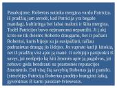 Trys draugai - knygos pristatymas 5 puslapis