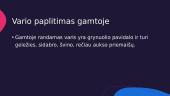 Varis ir jo lydiniai (skaidrės) 2 puslapis