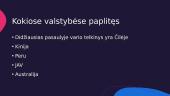 Varis ir jo lydiniai (skaidrės) 3 puslapis