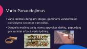 Varis ir jo lydiniai (skaidrės) 7 puslapis