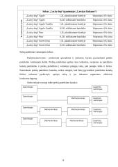 Sidrų pasiūlos ir paklausos Mažeikių mieste tyrimas 7 puslapis