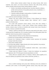 Sidrų pasiūlos ir paklausos Mažeikių mieste tyrimas 9 puslapis