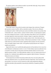 Sienų tapyba senovės Egipte 4 puslapis